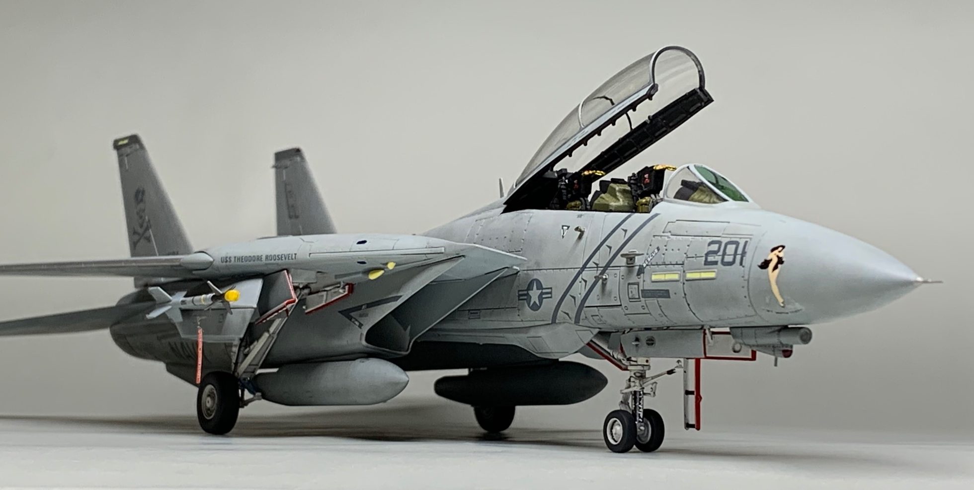 米海軍 戦闘機 F-14 トムキャット VF-213 タグ キーホルダー - 航空機